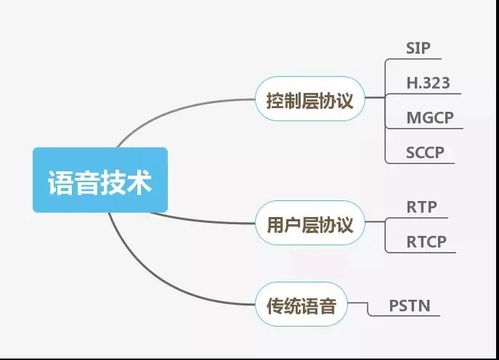 網(wǎng)絡(luò)工程與弱電工程 領(lǐng)域?qū)Ρ扰c技能解析