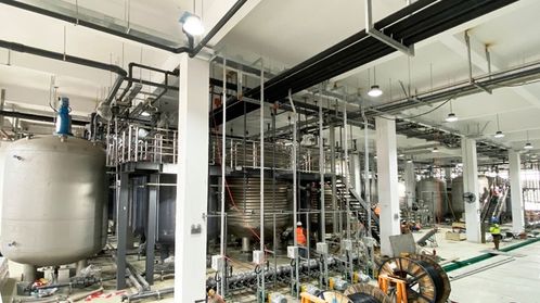 耗資20億的哈佛“長生不老藥”NMN工廠落戶寧波余姚，是科學突破還是網絡工程？